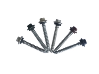 ROOFING SCREW 12G-11/14 X 50MM COLOUR